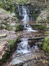 팜모닝 자유주제·자유게시판 게시글 이미지