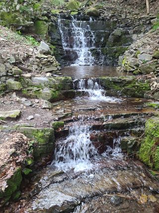 박전규님의 자유주제 · 자유게시판 작성글 사진