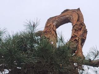 박전규님의 자유주제 · 자유게시판 작성글 사진