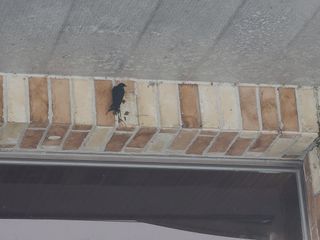 박전규님의 자유주제 · 자유게시판 작성글 사진