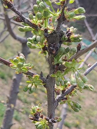 박전규님의 자유주제 · 자유게시판 작성글 사진