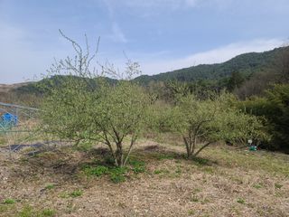 박전규님의 자유주제 · 자유게시판 작성글 사진