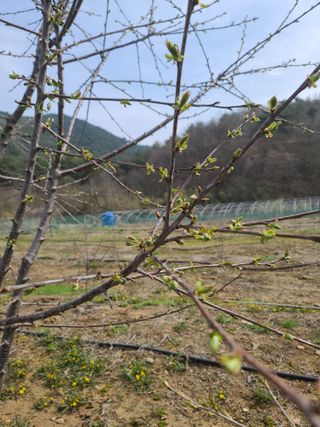 박전규님의 자유주제 · 자유게시판 작성글 사진