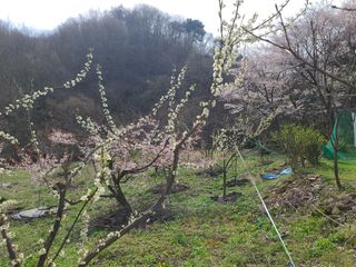 박전규님의 자유주제 · 자유게시판 작성글 사진