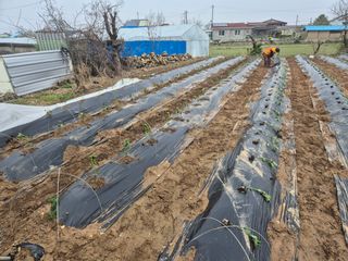 그림자님의 자유주제 · 자유게시판 작성글 사진