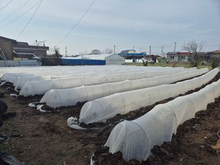 그림자님의 자유주제 · 자유게시판 작성글 사진