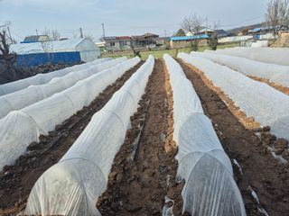 그림자님의 자유주제 · 자유게시판 작성글 사진