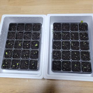 박기식 님의 자유주제 · 자유게시판 작성글 사진