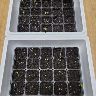 박기식 님의 자유주제 · 자유게시판 작성글 사진