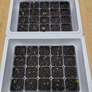 박기식 님의 자유주제 · 자유게시판 작성글 사진