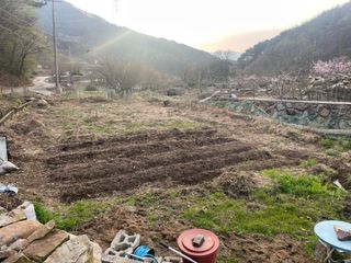 도곡님의 자유주제 · 자유게시판 작성글 사진