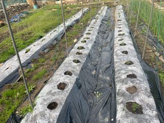 도곡님의 자유주제 · 자유게시판 작성글 사진