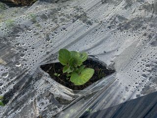 도곡님의 자유주제 · 자유게시판 작성글 사진