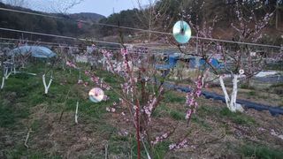 박상현님의 자유주제 · 자유게시판 작성글 사진