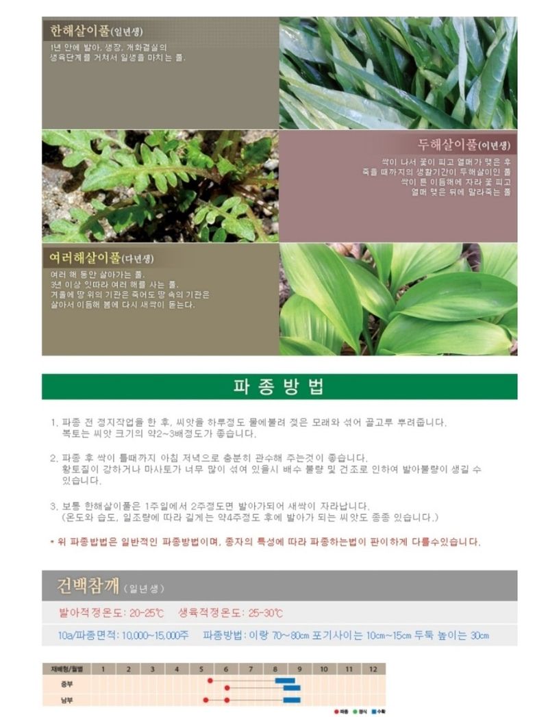 대산농사대장님의 장터 판매 상품 [건백참깨 코팅종자 3천립] 첨부 사진