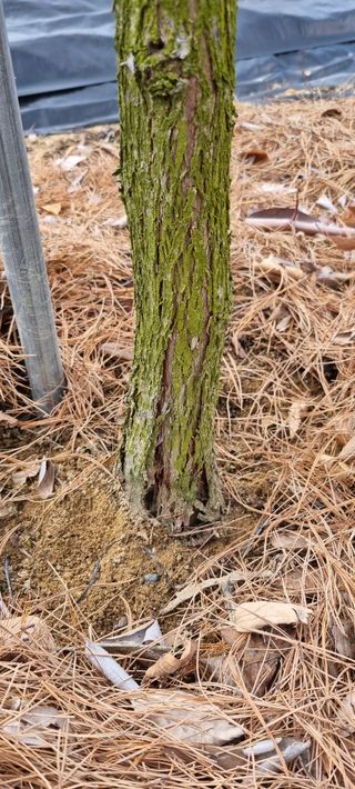 윤섭님의 기타작물 · 영농일지 작성글 사진