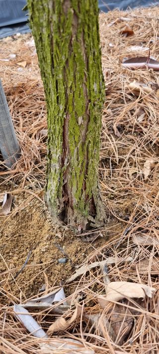 윤섭님의 기타작물 · 영농일지 작성글 사진