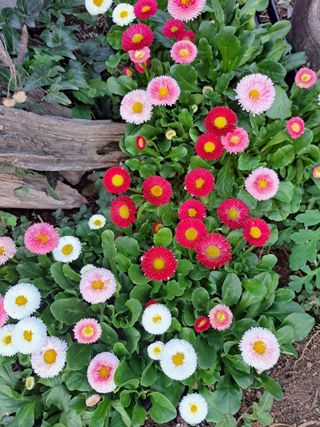 신한숙님의 자유주제 · 자유게시판 작성글 사진