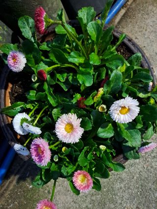 신한숙님의 자유주제 · 자유게시판 작성글 사진