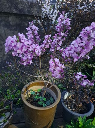 신한숙님의 자유주제 · 자유게시판 작성글 사진