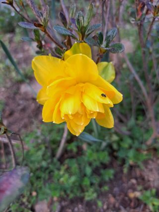 신한숙님의 자유주제 · 자유게시판 작성글 사진