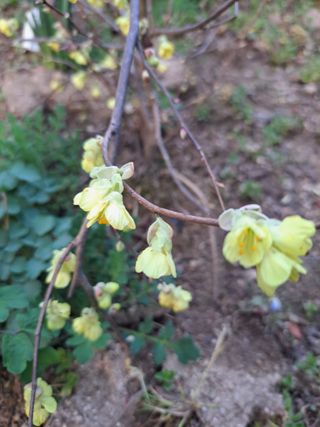 신한숙님의 자유주제 · 자유게시판 작성글 사진