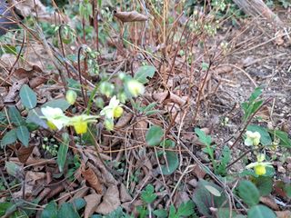 신한숙님의 자유주제 · 자유게시판 작성글 사진