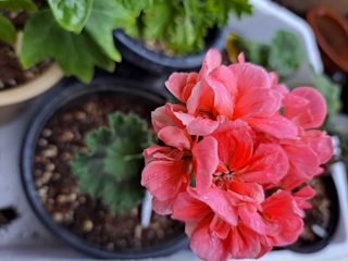 신한숙님의 자유주제 · 자유게시판 작성글 사진