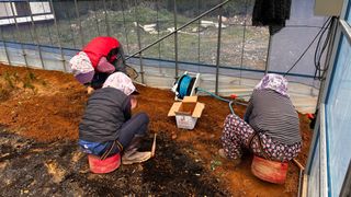 치유숲모이라양재순님의 기타작물 · 영농일지 작성글 사진