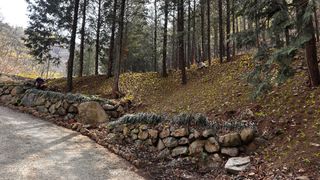 치유숲모이라양재순님의 기타작물 · 영농일지 작성글 사진