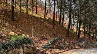 치유숲모이라양재순님의 기타작물 · 영농일지 작성글 사진