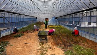 치유숲모이라양재순님의 기타작물 · 영농일지 작성글 사진