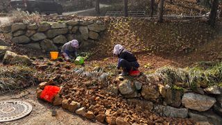 치유숲모이라양재순님의 기타작물 · 영농일지 작성글 사진