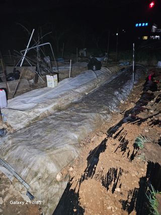 왜목 김진규님의 감자 · 영농일지 작성글 사진