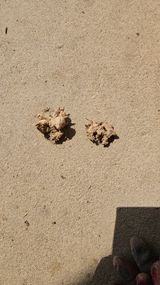 팜모닝 자유주제·자유게시판 게시글 이미지