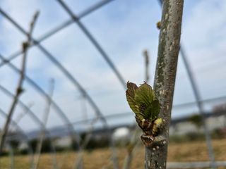 내츄럴팜 채명심님의 4월 내 작물 자랑하기 · 참여글 작성글 사진