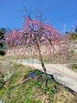 팜모닝 자유주제·자유게시판 게시글 이미지