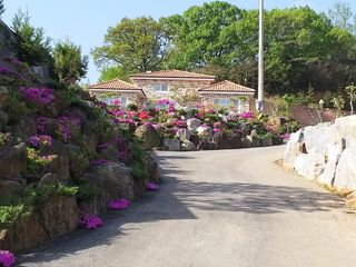 딸기13732님의 자유주제 · 사진전 작성글 사진