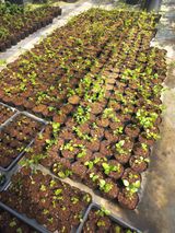 팜모닝 자유주제·자유게시판 게시글 이미지