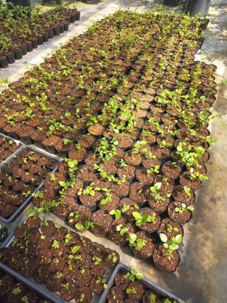 하늘농원님의 자유주제 · 자유게시판 작성글 사진