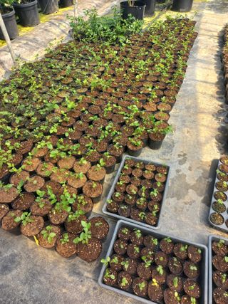 하늘농원님의 자유주제 · 자유게시판 작성글 사진