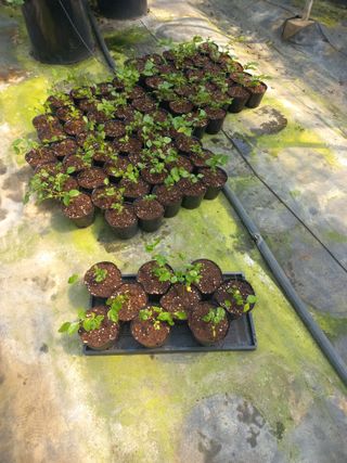 하늘농원님의 자유주제 · 자유게시판 작성글 사진