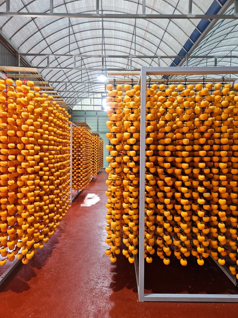 윤블리네님의 장터 판매 상품 [대봉반건시 16구(8구x2팩)] 첨부 사진