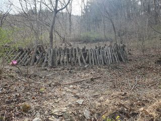 김철원,바람산인님의 자유주제 · 자유게시판 작성글 사진