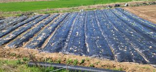 황동 여순모님의 자유주제 · 사진전 작성글 사진