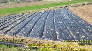 황동 여순모님의 자유주제 · 사진전 작성글 사진