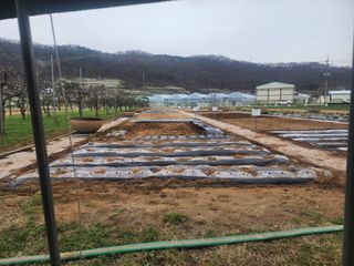 장인호님의 자유주제 · 자유게시판 작성글 사진