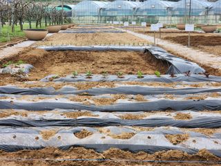 장인호님의 자유주제 · 자유게시판 작성글 사진
