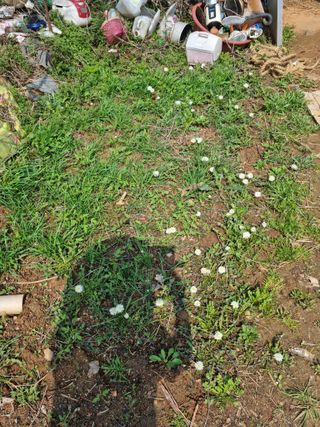 남종희님의 자유주제 · 자유게시판 작성글 사진