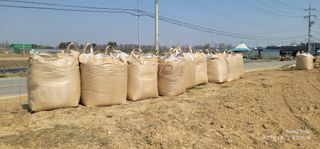 엄성열님의 옥수수 · 영농일지 작성글 사진